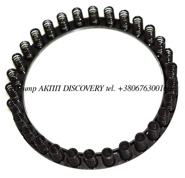 Springs W/Retainer Reverse Clutch Return A750/A761 (Used)