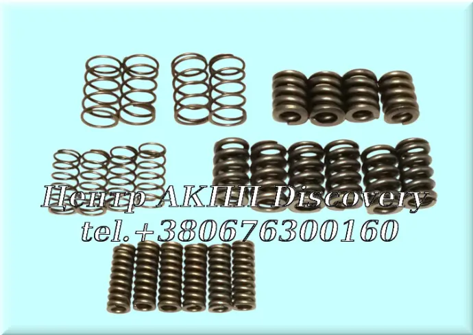 Комплект Пружин Зчеплення 6DCT450  (Transtar)