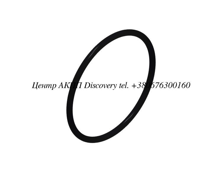 O-Ring Converter 4T60-E, 4T80-E, 4L60-E (Sonnax)