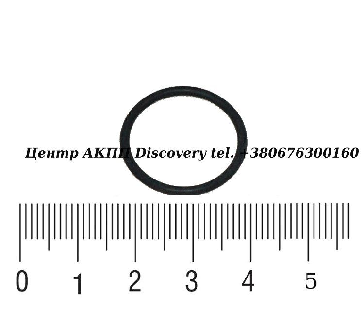 Ущільнююче Кільце Вхідного Валу JF011A/ RE0F10A (Оригінал)