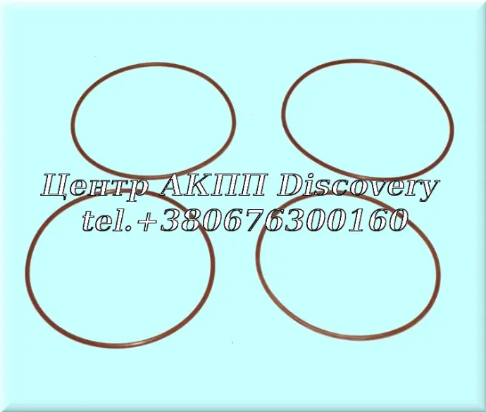 O-rings for double clutch hub 6DCT450 (Autoline)