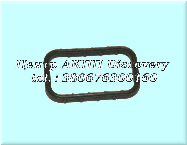 Gasket connector for electric motor 0AM (Autoline)