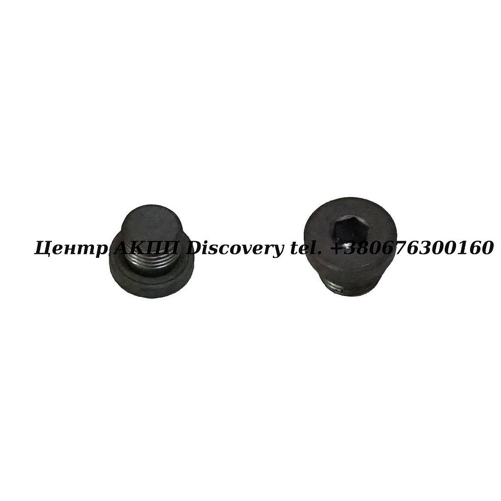 SCREW PLUG ZF