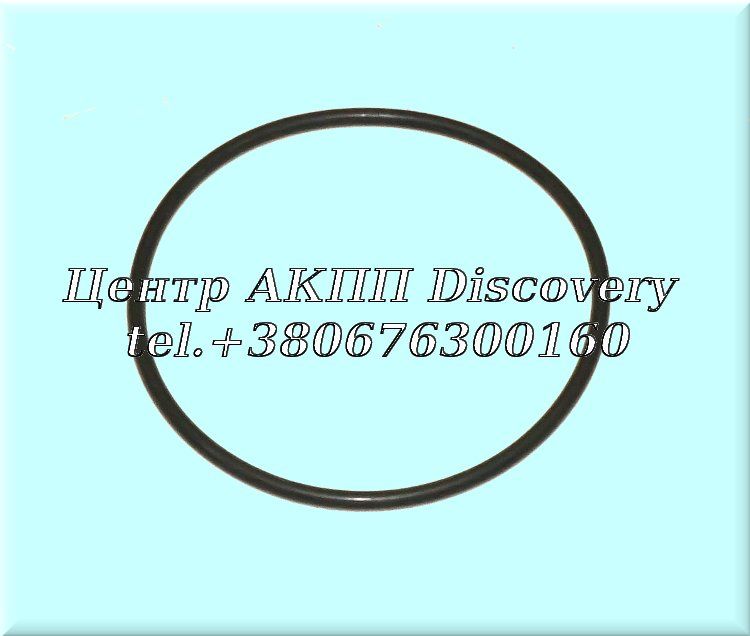 Ущільнююче Кільце Корпусу Зовнішнього Фільтру JF015 (Оригінал)