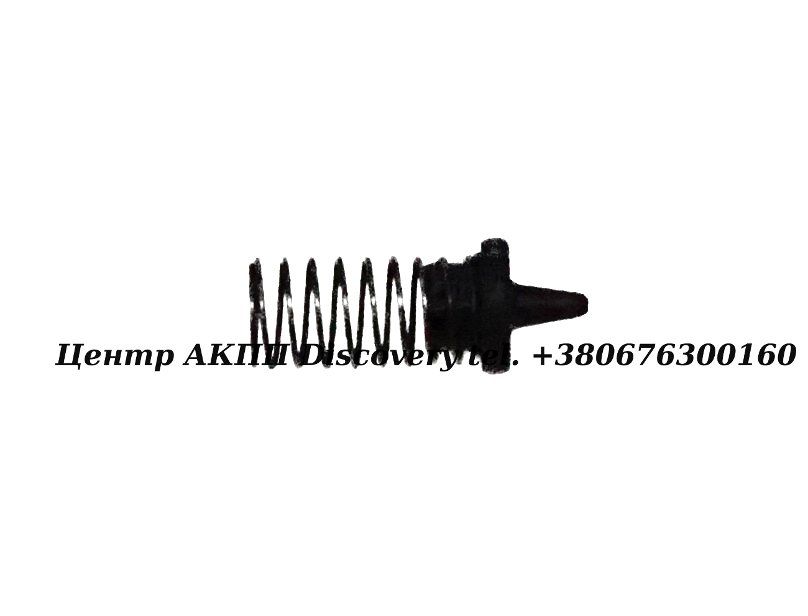 Valve w/spring 5HP19 (ZF)