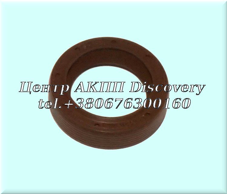 Seal Input Shaft DCT250 (OEM)