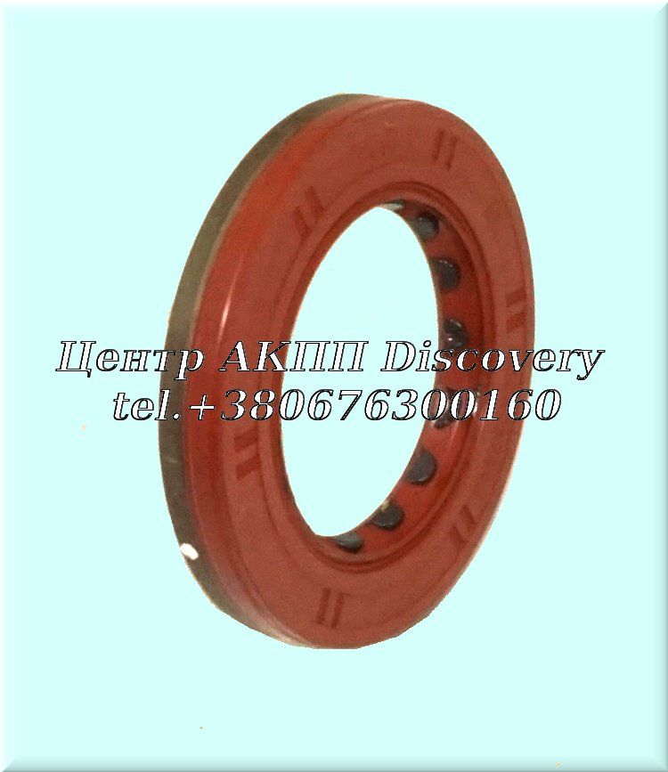 Seal Input Shaft DCT250 (OEM)