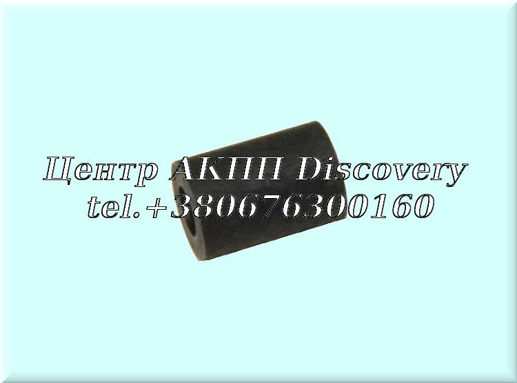 Bushing in Case 8HP45/ 8HP70 (ZF)