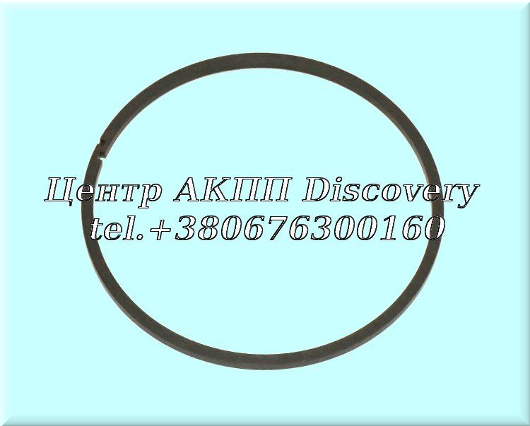 Sealing Ring Stator Pump AB60F (Transtar)