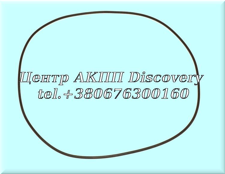 O-Ring Support Stator RE5R05A