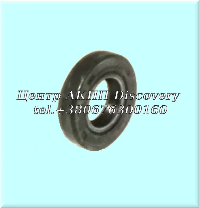 Seal Selector Shaft M78 (NAK)