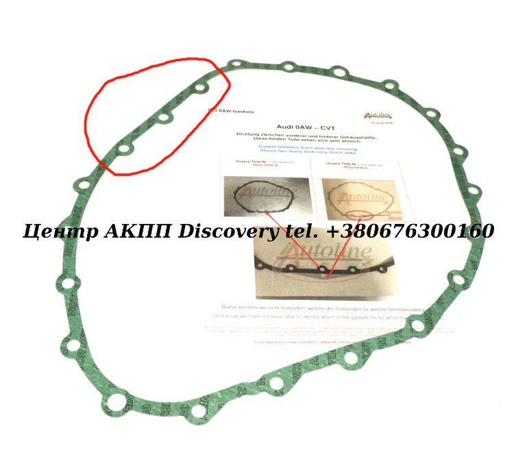 Gasket, Case 0AW (OEM)
