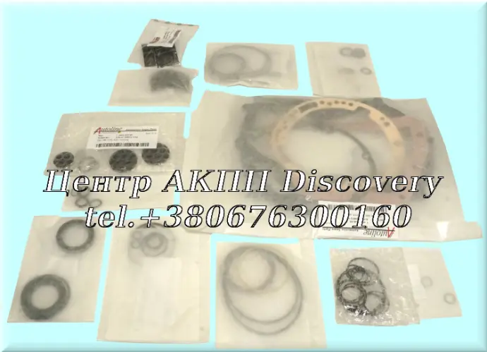 Overhaul Kit 095, 096,01M (Autoline)