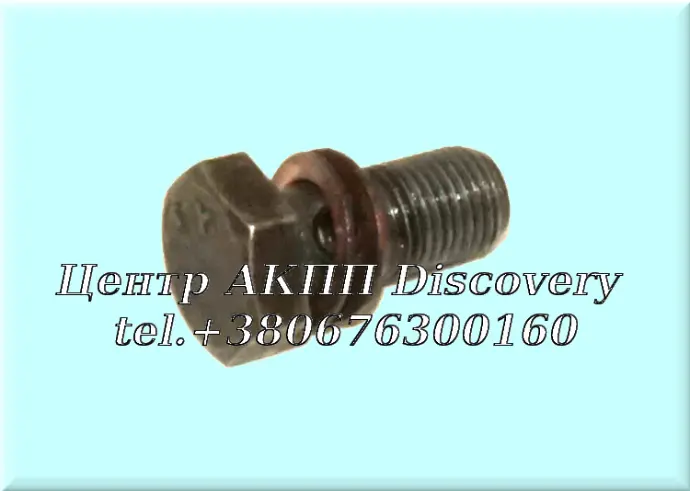 Bolt Oil Pipe F4A51 (Used)