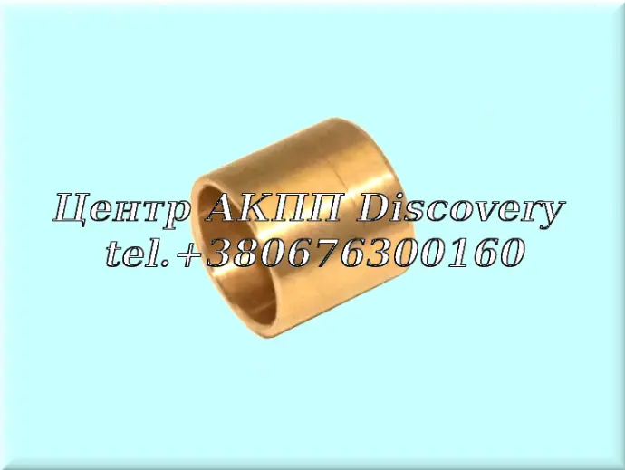 Bushing Stator Pump 6T30/6T40/6T45/6F35 (GFX)