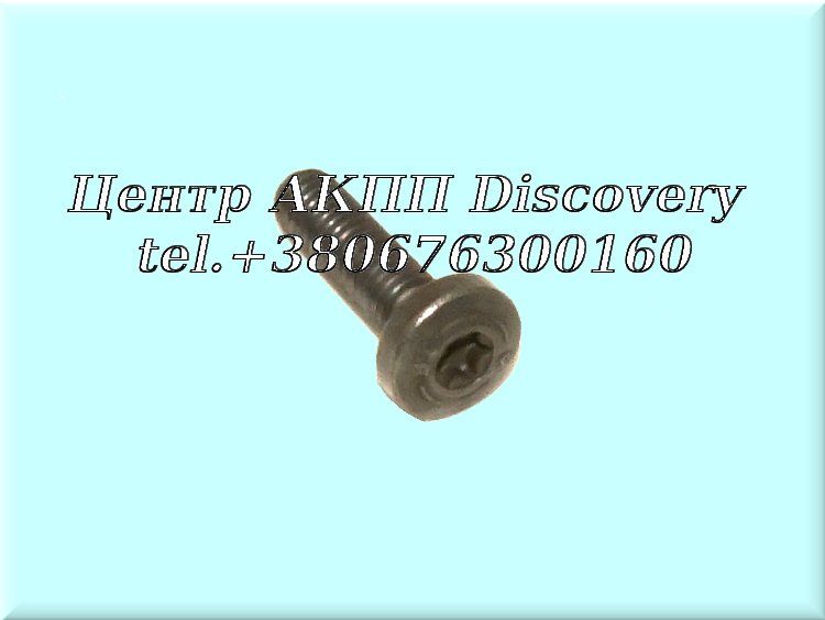 Bolt Stator Pump 6HP26 (ZF)