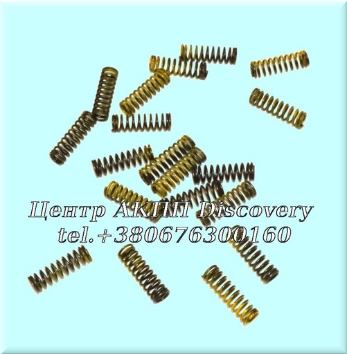 [US46971] Spring Kit Coast & Direct Clutch 5R55N/5R55S/5R55W (Used)