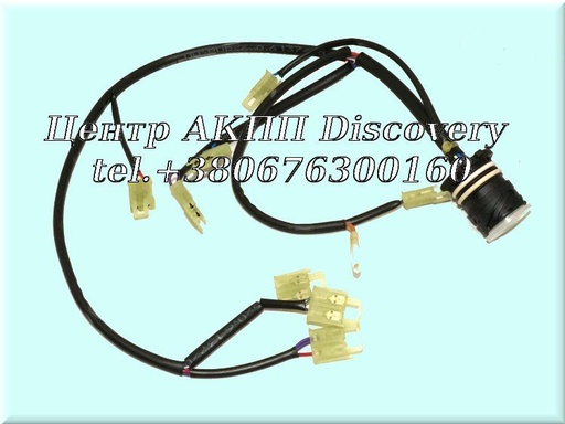 [1019227013] WARE HERNESSES 4HP20 (ZF)