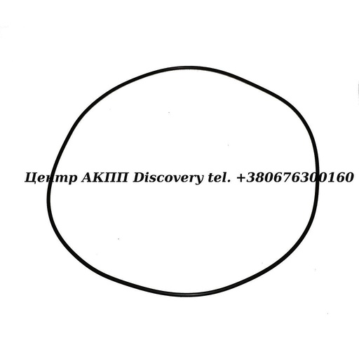 [142311A] Ущільнююче Кільце Масляного Насоса R4/V4/R5/V5A51 (Transtar)
