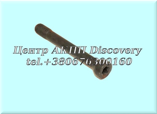[0736029089] Flange Bolt 4HP18/4HP24 Audi (ZF)
