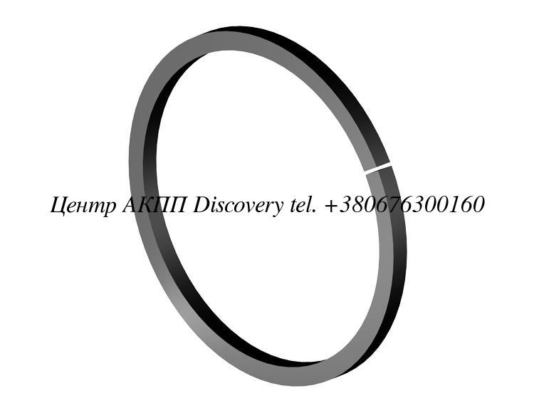 SEAL RING RE5R05A (Tricomponent)