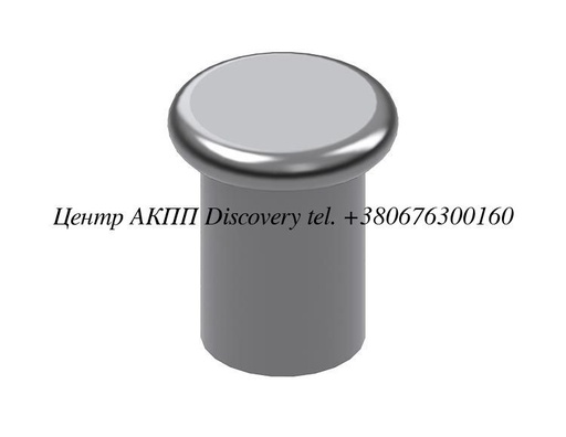 [ZF-RV-1] Rivet ZF6HP19, 245mm (LuK), ZF6HP21, 245mm (LuK) (Sonnax)