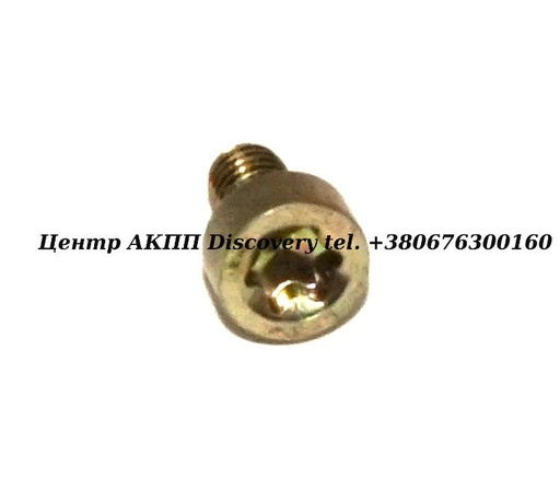 [0705763] Пробка Зливна TF80SC/TF81SC (AM6, AF21, AF40) (Оригінал)