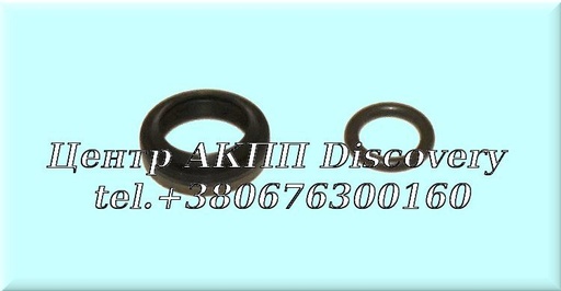 [318002/2] O-ring Kit Housing 6DCT450 (Autoline)