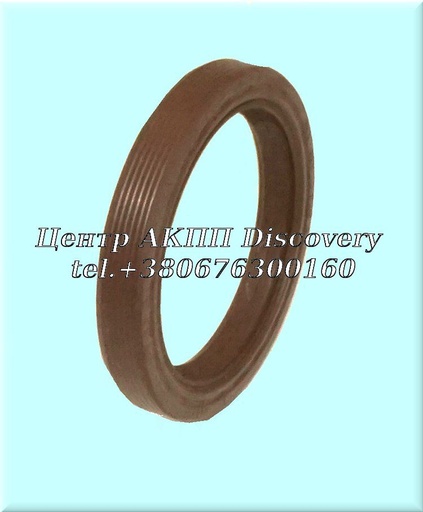 [0750111369] Seal Axle RH ZF 5HP19HL Porsche 98-04 (ZF)
