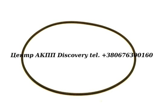 [9030199123] Ущільнююче Кільце Масляного Насоса U880 (Оригінал)