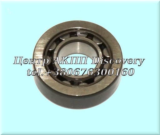 [806207] Roller Bearing Input Shaft JF015E (NSK)