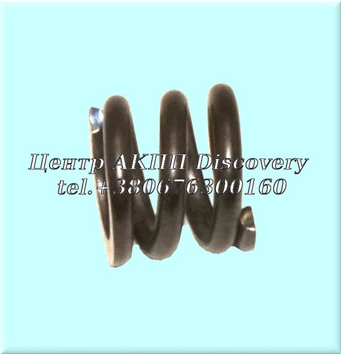 [D84901B] SPRING 2-1 SERVO (Inner) 4T60E/4T65E (Transtar)