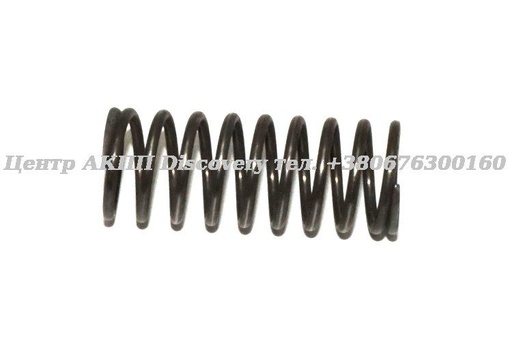 [3174285X02] SPRING-VALVE RE4F04A (OEM)