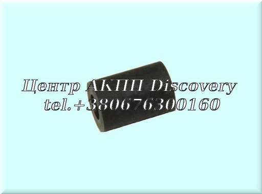 [1087301006] Bushing in Case 8HP45/ 8HP70 (ZF)