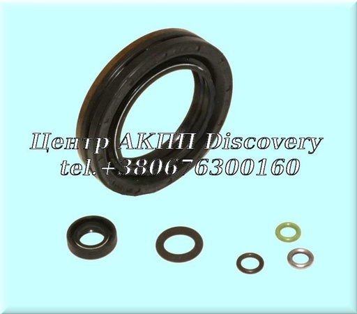 [339002/5] Sub kit, Oil Pump 0B5/DL501 (Autoline)