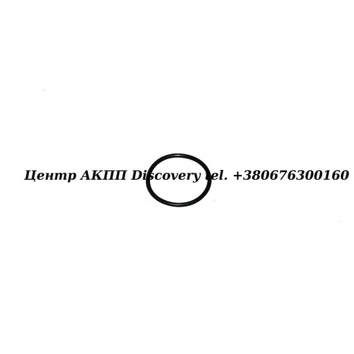 [0734313190] O-ring Piston Valve Body 5HP19BMW (ZF)
