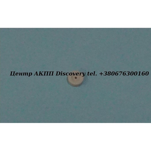 [1019327063] Жиклер Гідравлічного Блоку АКПП 4HP20/5HP19 (ZF)