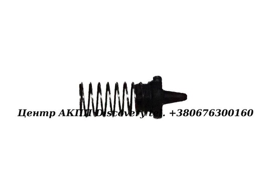 [1060227016] Valve w/spring 5HP19 (ZF)