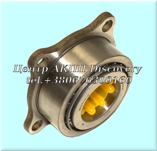 [806341090] Differential Drive Gear Bearing TR690 (OEM)