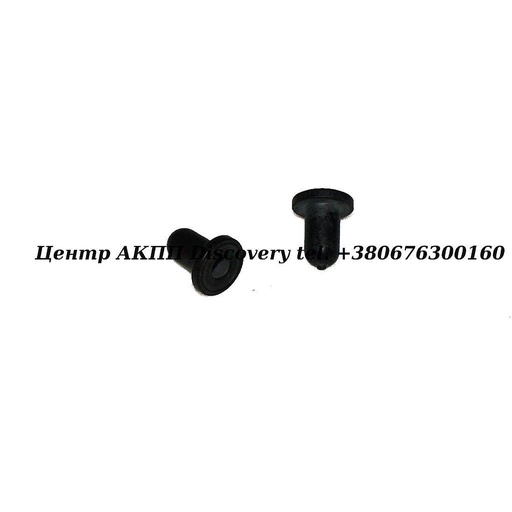 [0501314645] Piston 4HP20/5HP19/5HP24 (ZF)