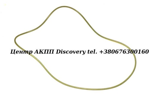 [0734313116] O-RING PISTON CLUTCH  'C' 5HP30 (ZF)