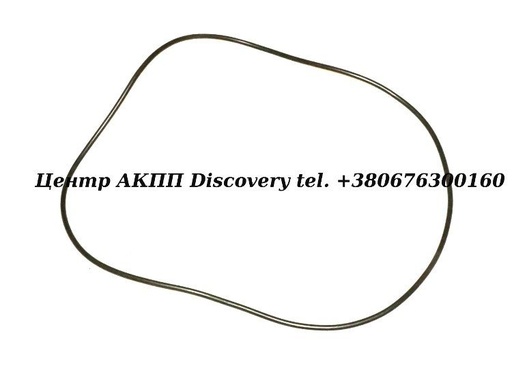 [0734313169] O-Ring Piston Clutch  "D" 5HP24 (ZF)