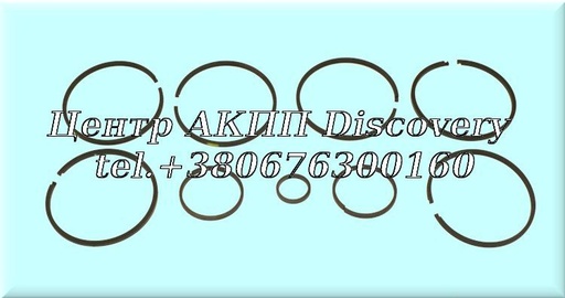 [49175] Sealing Ring Kit 450-43LE 1998-up (Transtec)