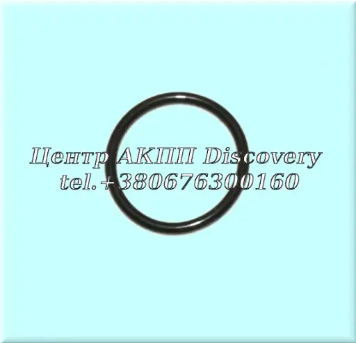 [D806380] O-Ring Input Shaft JF015 (OEM)