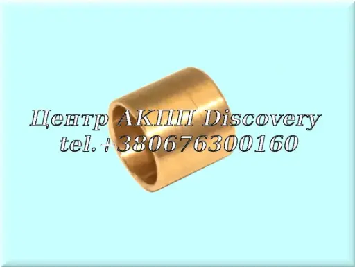 [144037] Bushing Stator Pump 6T40/6T45/6F35 (GFX)