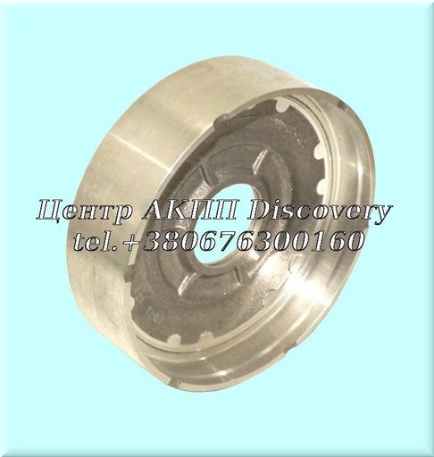 [1071371056] Piston INPUT SHAFT 6HP19 (ZF)